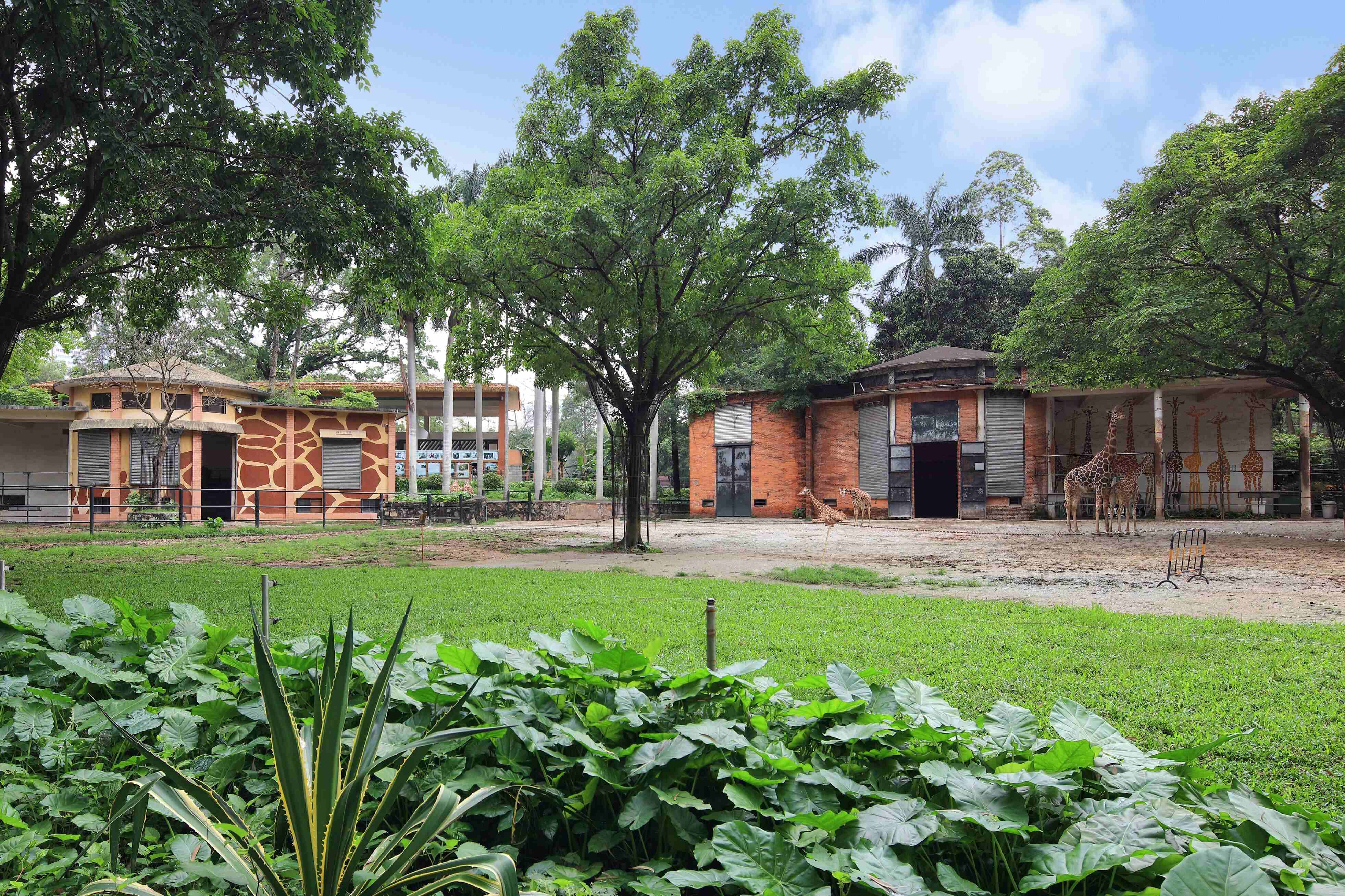 廣州動物園升級改造工程